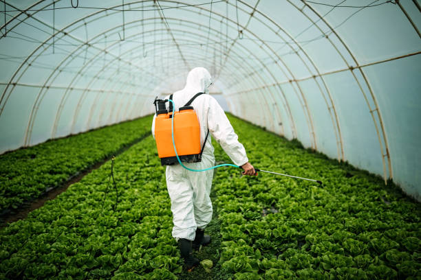 Best Pest Control Near Me in Preakness, NJ