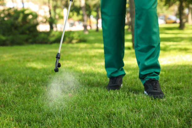 Best Wasp Removal Services  in Preakness, NJ