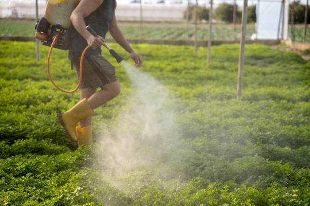 Pest Prevention Services in Preakness, NJ