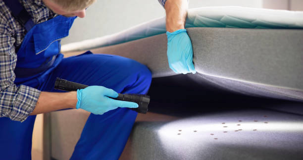 Best Best Pest Control Companies  in Preakness, NJ