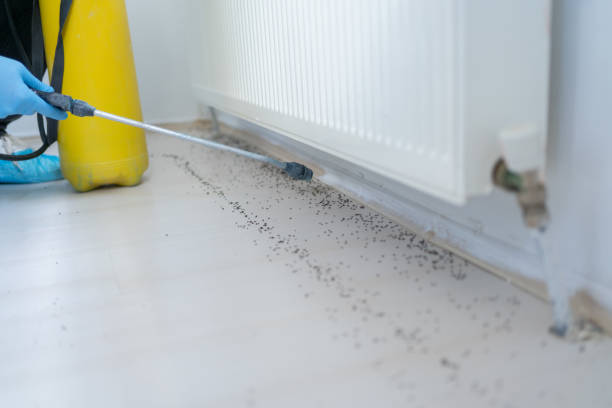 Best Mosquito Control Services  in Preakness, NJ