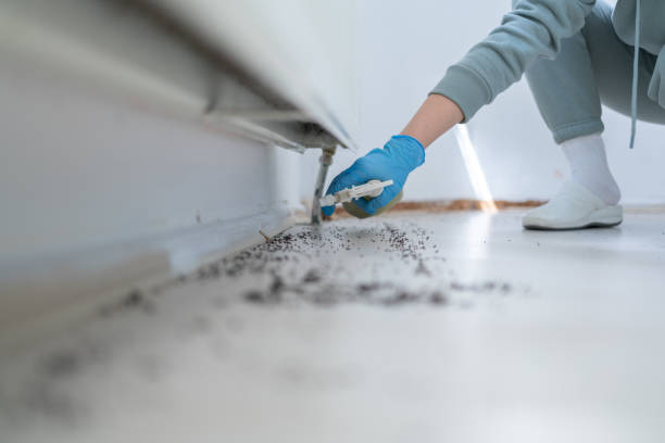 Best Insect Control  in Preakness, NJ