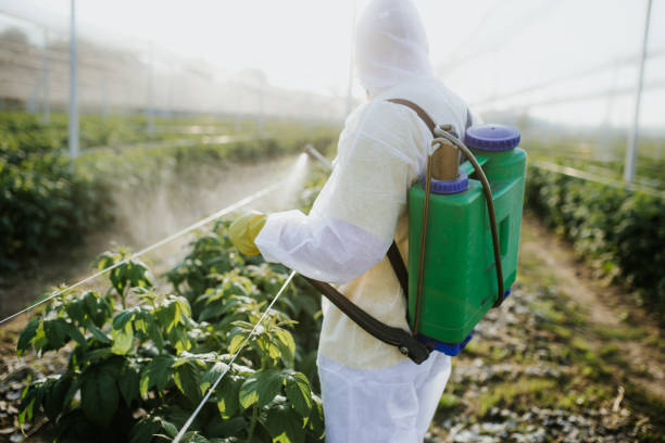 Best Flea Control Services  in Preakness, NJ